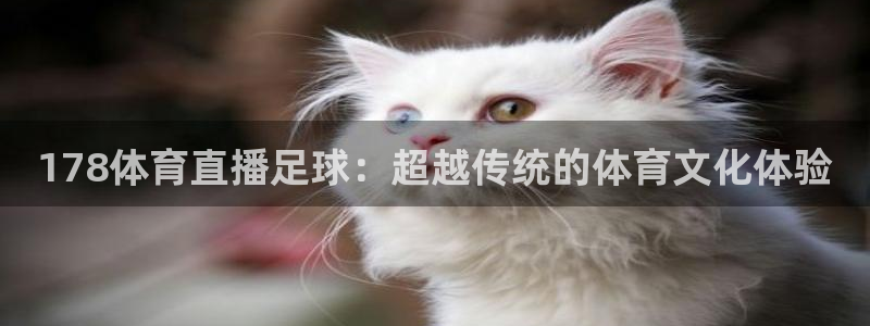 178体育直播足球：超越传统的体育文化体验