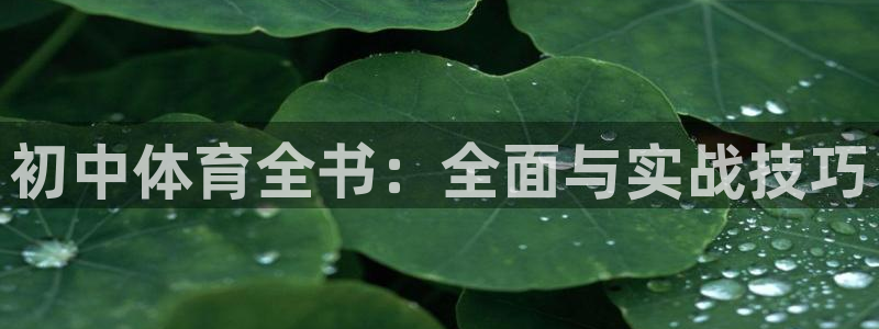 初中体育全书：全面与实战技巧