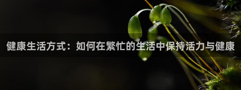 健康生活方式：如何在繁忙的生活中保持活力与健康